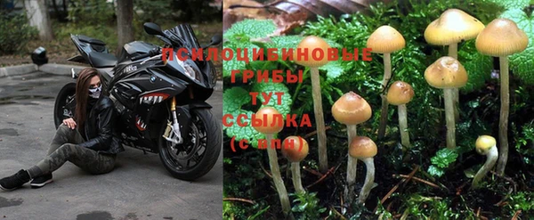 а пвп мука Абаза